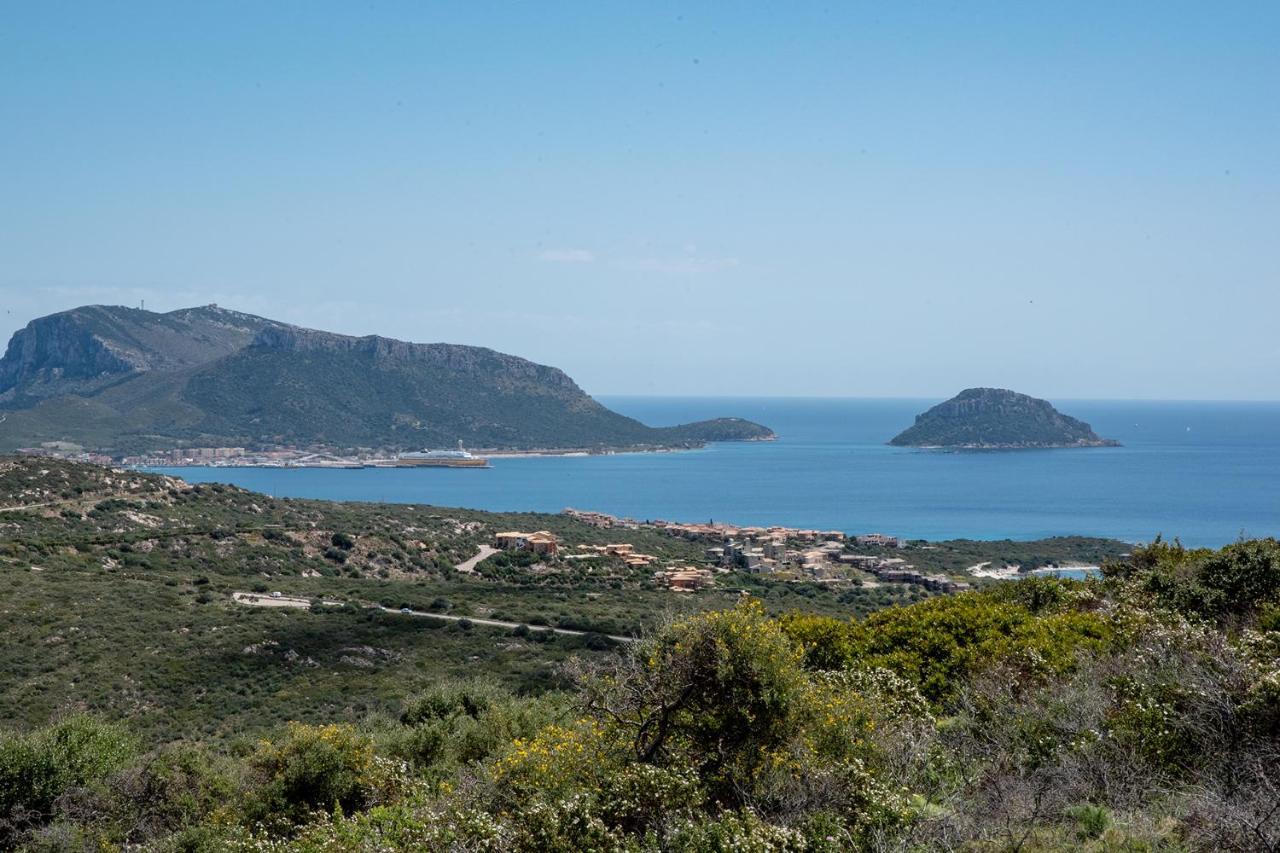 Casa Valery Wonderful Sea View Apartment Порто Ротондо Екстериор снимка